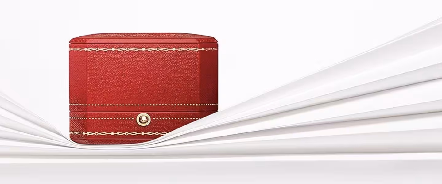 Contact Us Hero.jpg.transform.car2imagehd